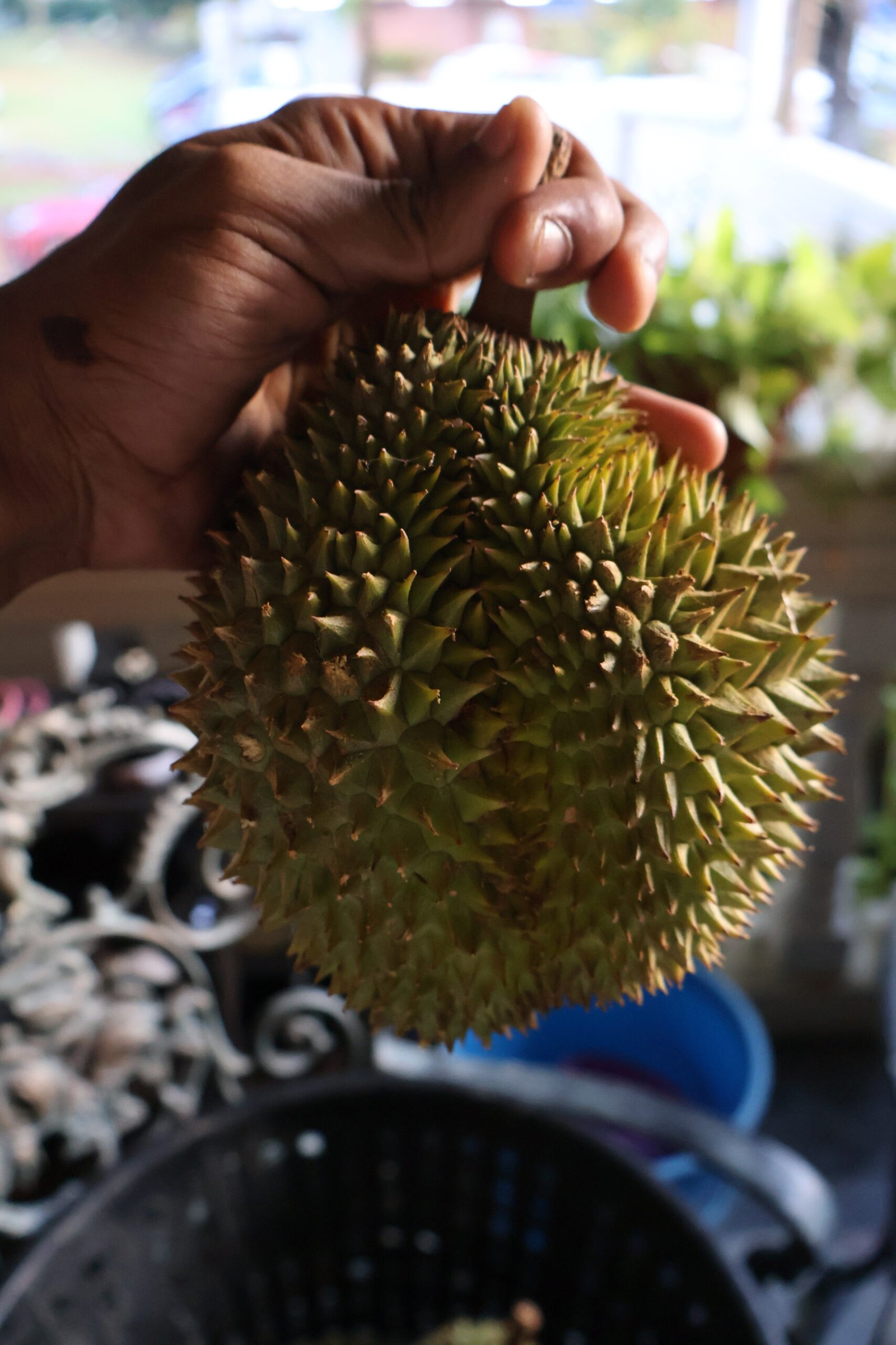 Durian Bukit